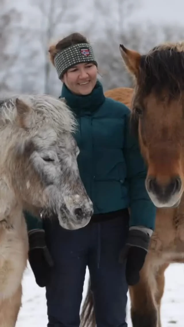 Having more animals is not always easy! This is my very best tip to avoid jealousy between them or for one to feel overlooked ❤️